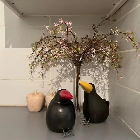 Aphrodite 2 Bedroom Down Town Daire *